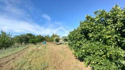 Residential Land For Sale in 