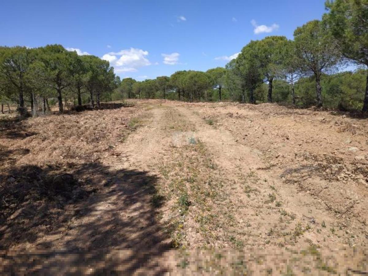 Picture of Residential Land For Sale in Castro Marim, Faro (algarve), Portugal