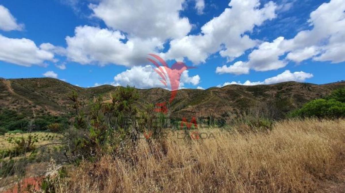 Picture of Residential Land For Sale in Monchique, Algarve, Portugal