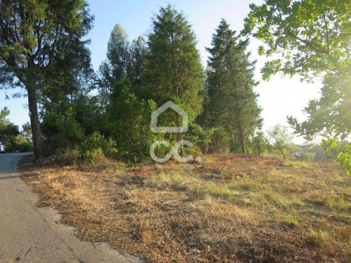 Picture of Residential Land For Sale in Coimbra, Beira, Portugal