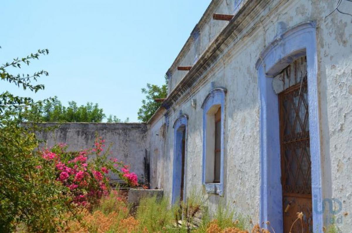 Picture of Home For Sale in Olhao, Faro, Portugal