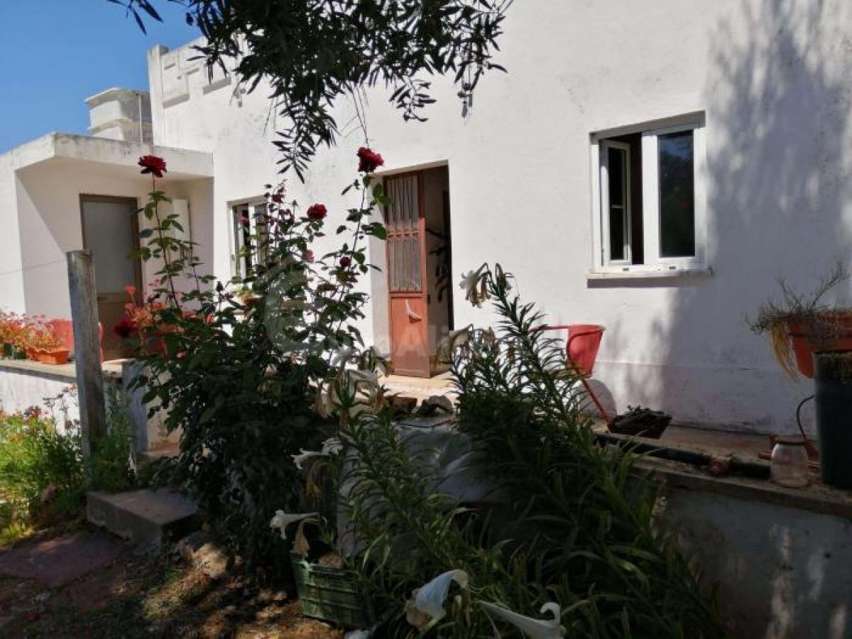 Picture of Residential Land For Sale in Silves, Algarve, Portugal