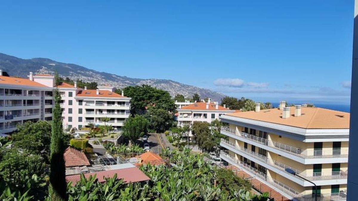 Picture of Apartment For Rent in Funchal, Madeira, Portugal