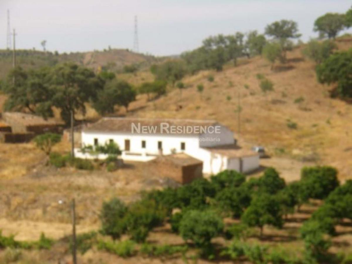 Picture of Farm For Sale in Silves, Algarve, Portugal