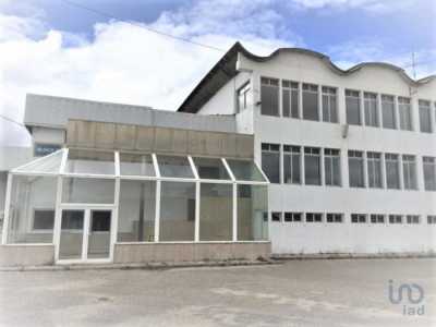 Retail For Rent in Sintra, Portugal