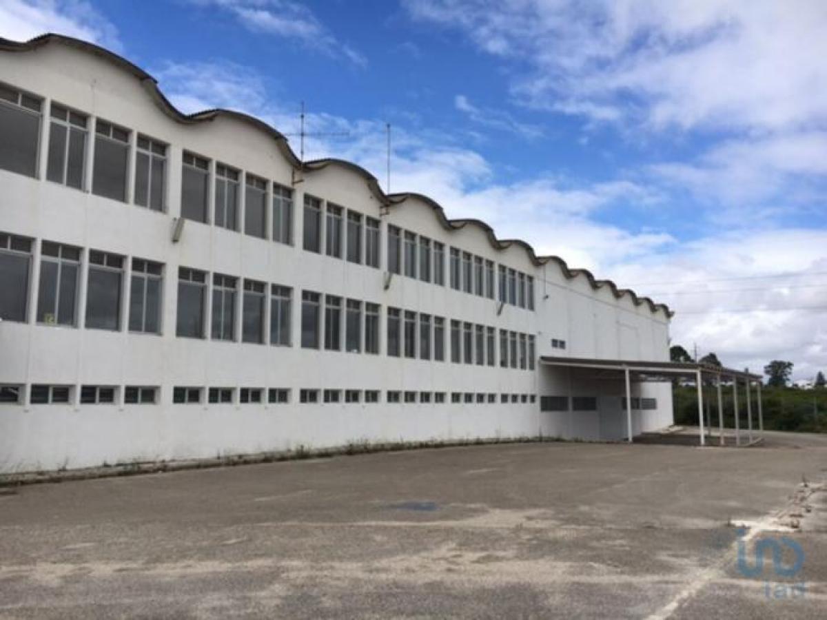 Picture of Retail For Sale in Sintra, Estremadura, Portugal