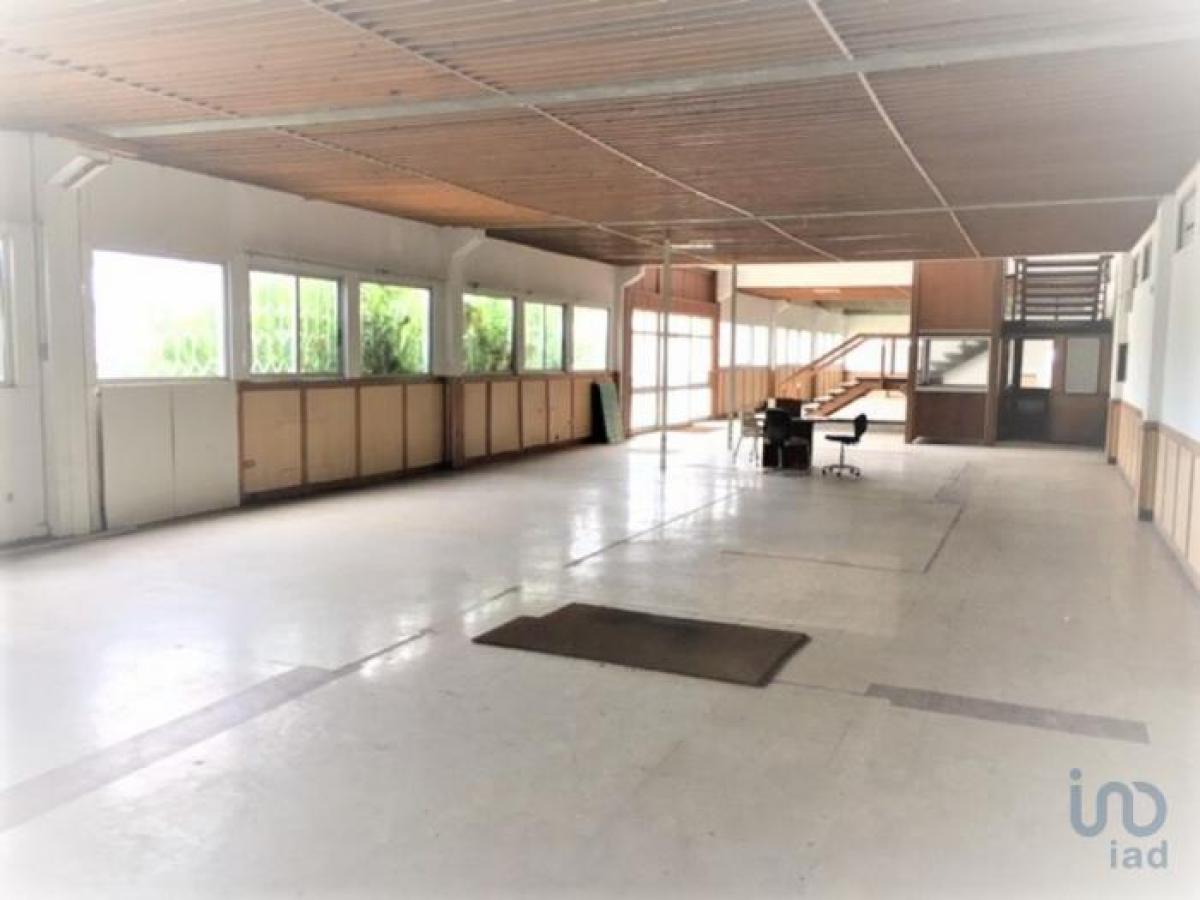 Picture of Retail For Sale in Sintra, Estremadura, Portugal