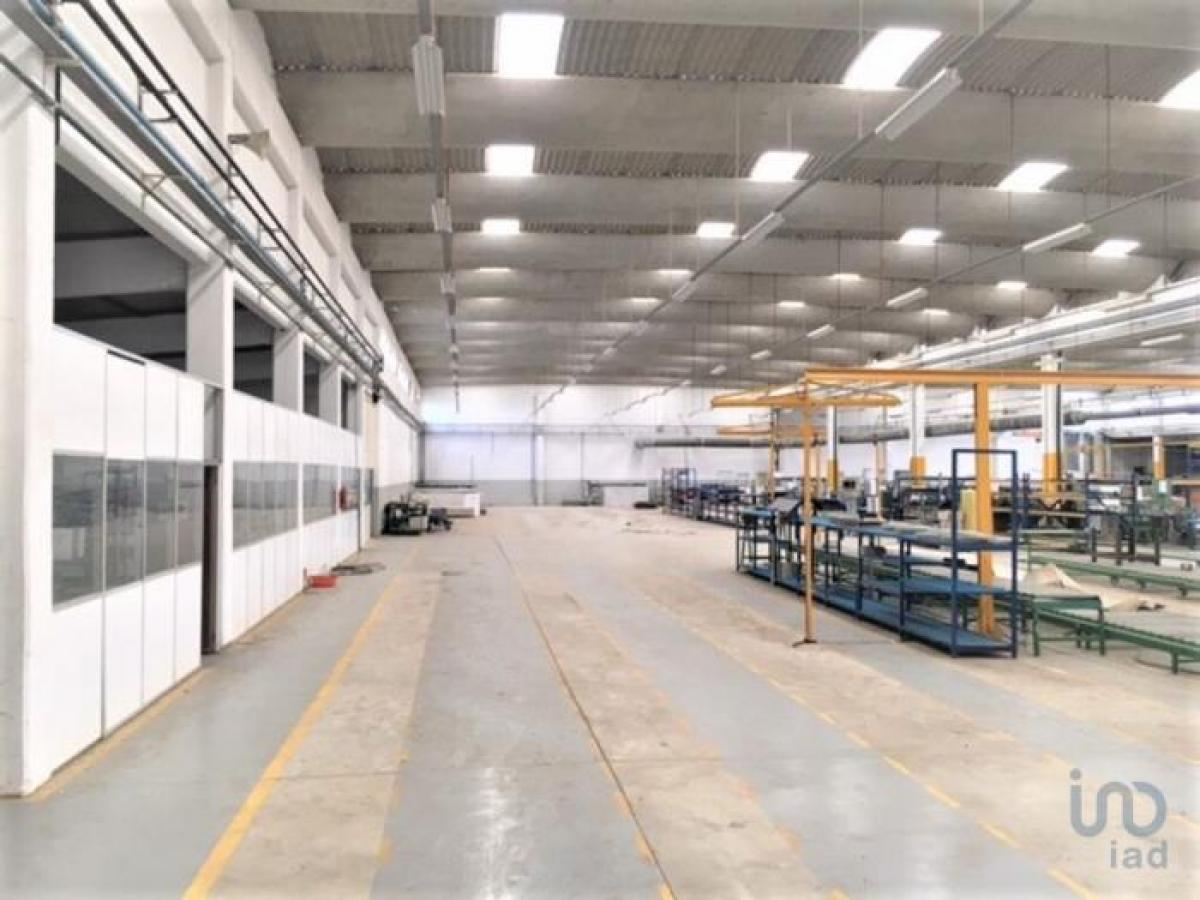 Picture of Retail For Rent in Sintra, Estremadura, Portugal