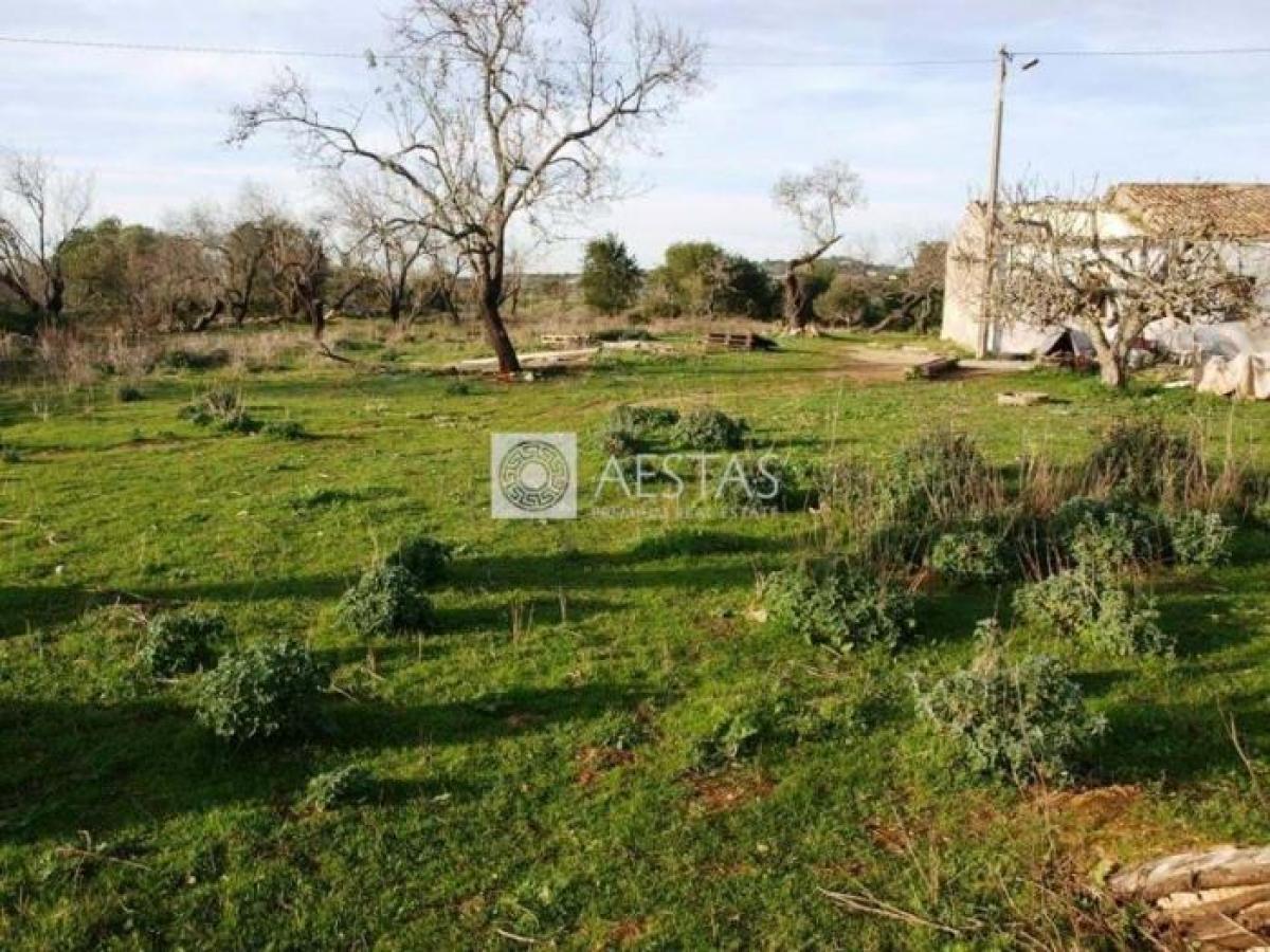 Picture of Residential Land For Sale in Albufeira, Algarve, Portugal