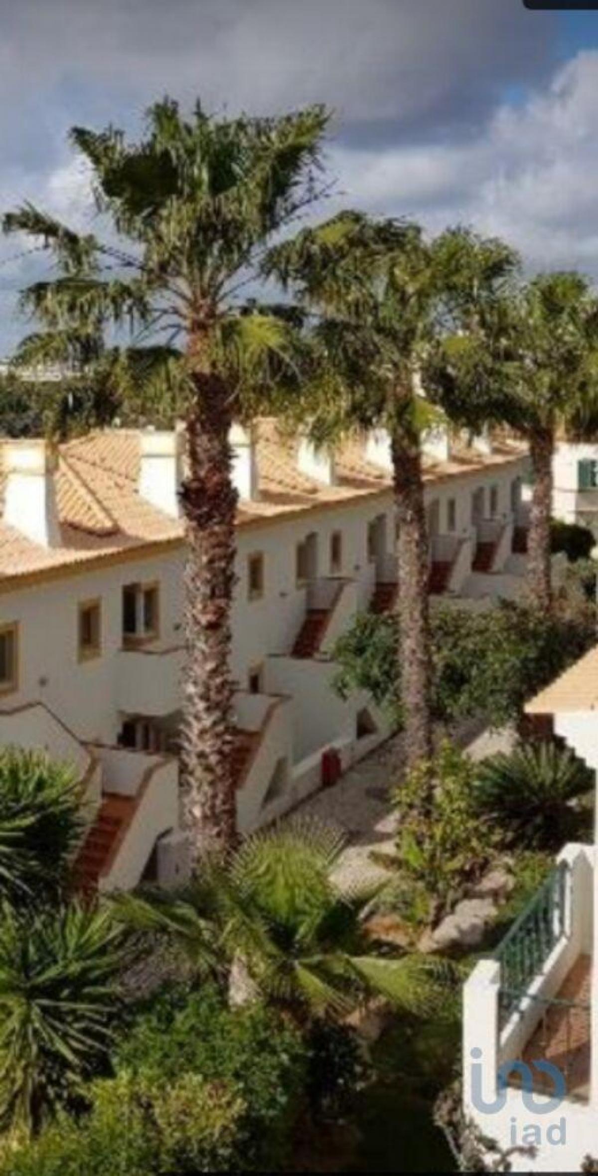 Picture of Apartment For Rent in Tavira, Algarve, Portugal