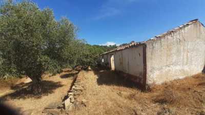 Home For Sale in Silves, Portugal