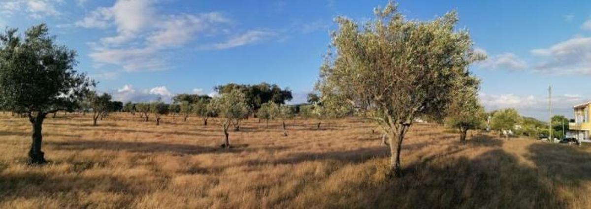 Picture of Residential Land For Sale in Portalegre, Alentejo, Portugal
