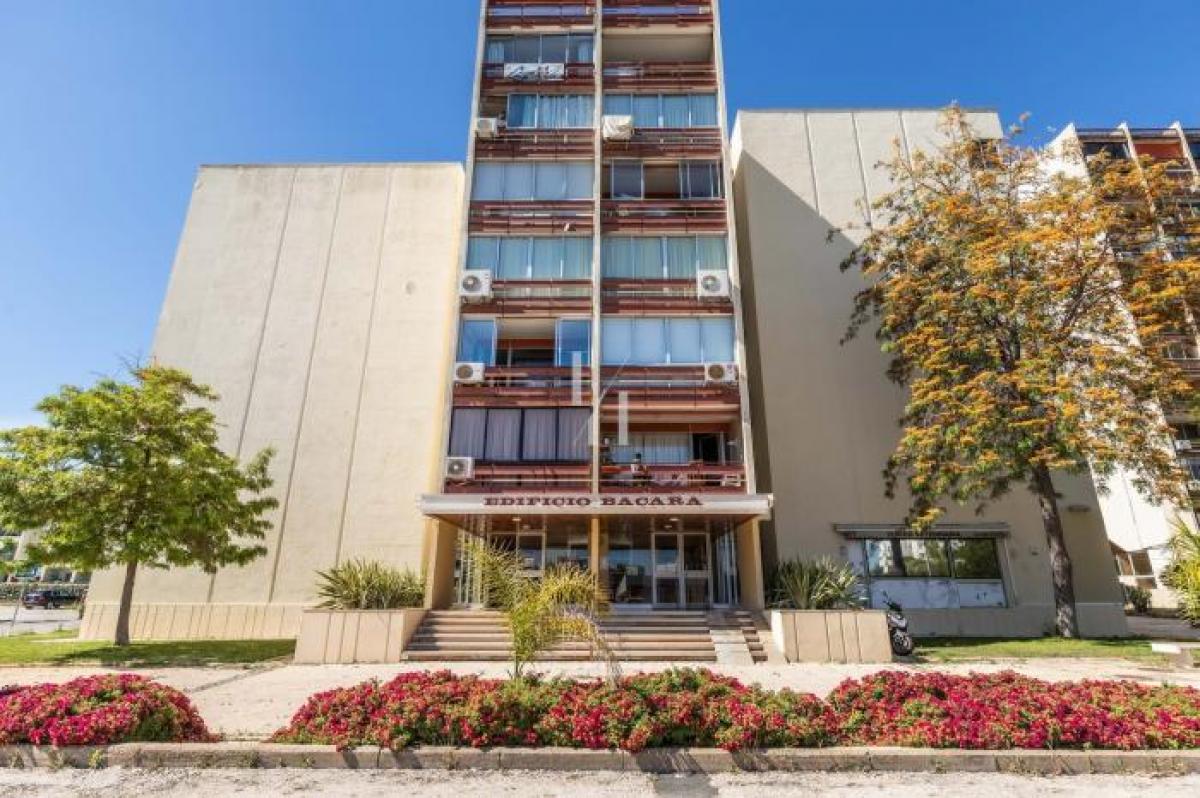 Picture of Apartment For Rent in Vilamoura, Algarve, Portugal