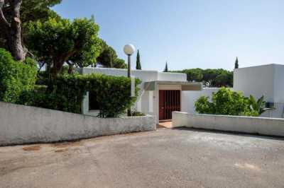 Apartment For Rent in 