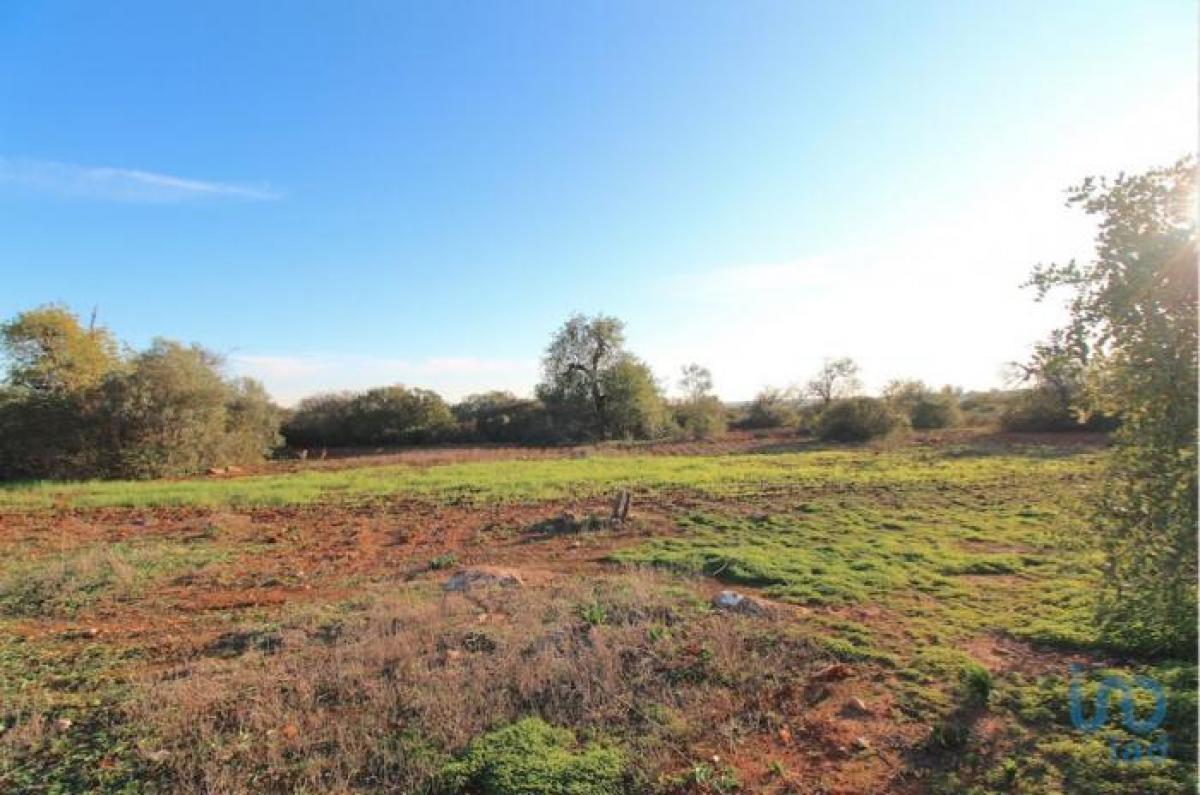 Picture of Residential Land For Sale in Olhao, Faro, Portugal