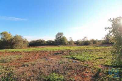 Residential Land For Sale in 