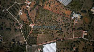 Farm For Sale in 