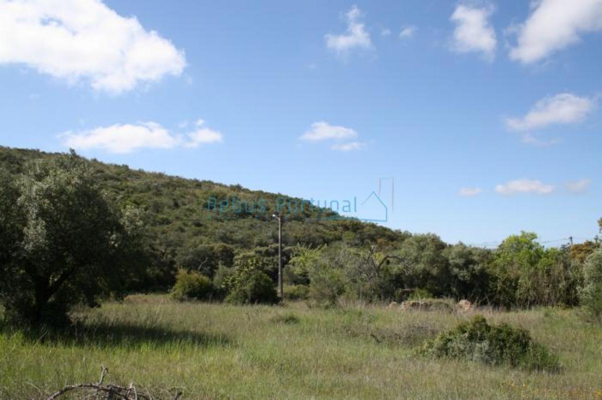 Picture of Residential Land For Sale in Faro, Algarve, Portugal