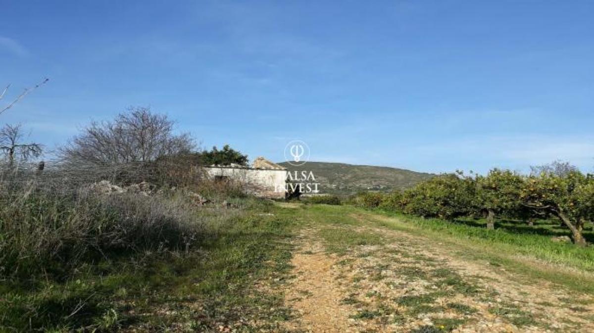 Picture of Villa For Sale in Faro, Algarve, Portugal