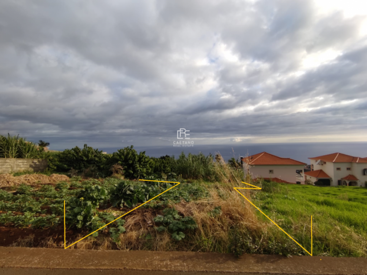 Picture of Residential Land For Sale in Ponta do Sol, Madeira, Portugal