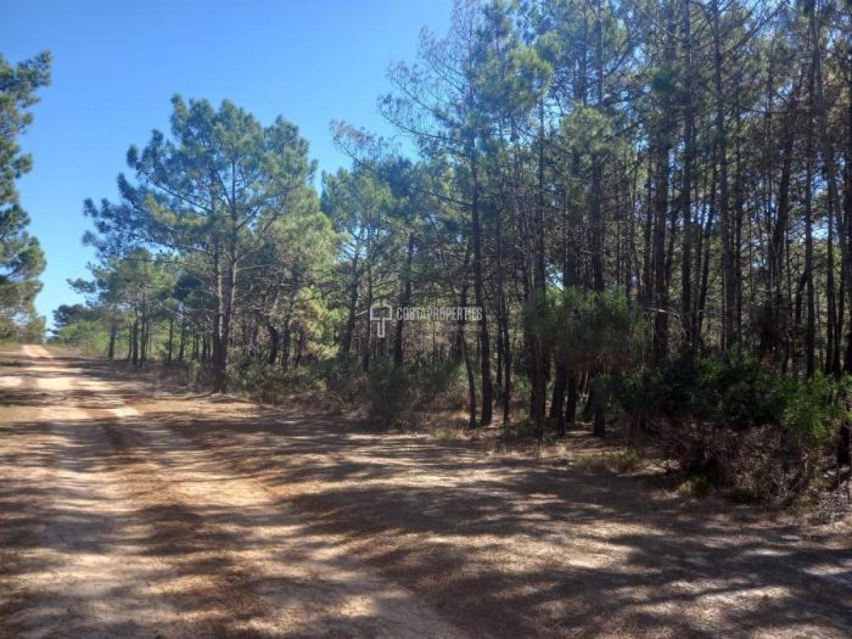 Picture of Residential Land For Sale in Vila Do Bispo, Algarve, Portugal