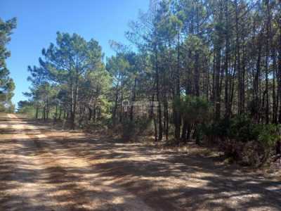 Residential Land For Sale in 