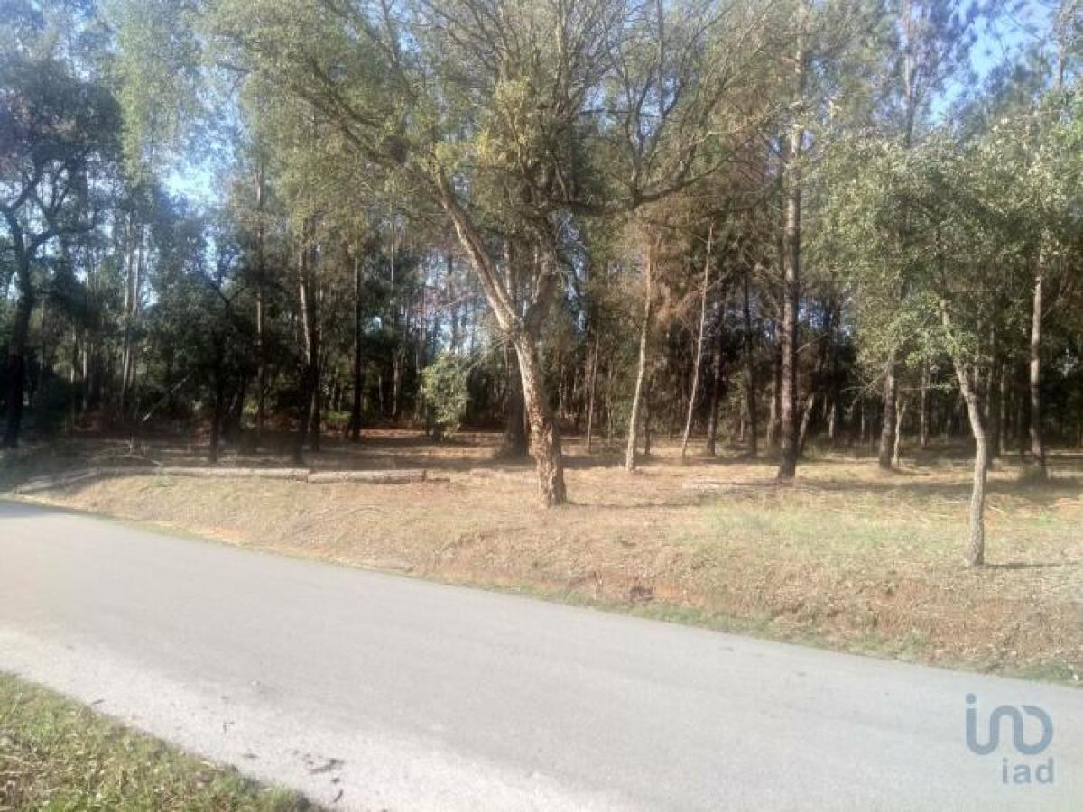 Picture of Residential Land For Sale in Leiria, Beira, Portugal