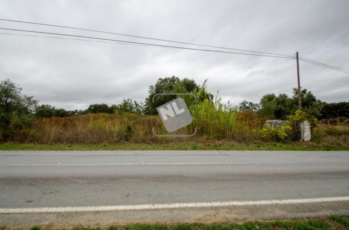 Picture of Residential Land For Sale in Crato, Alentejo, Portugal