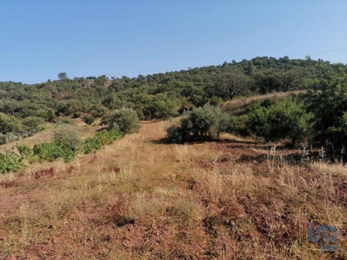 Picture of Residential Land For Sale in Loul, Algarve, Portugal