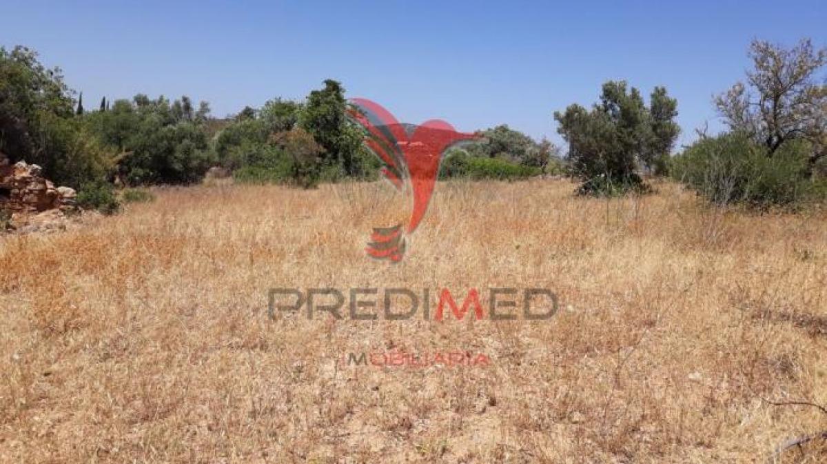 Picture of Residential Land For Sale in Loul, Algarve, Portugal