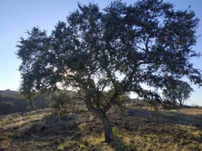 Residential Land For Sale in