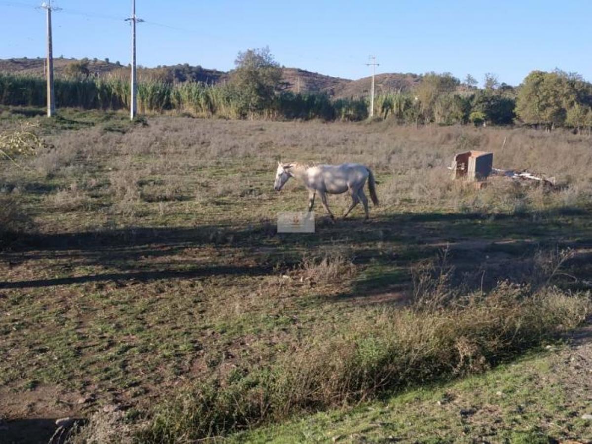 Picture of Residential Land For Sale in Castro Marim, Faro, Portugal