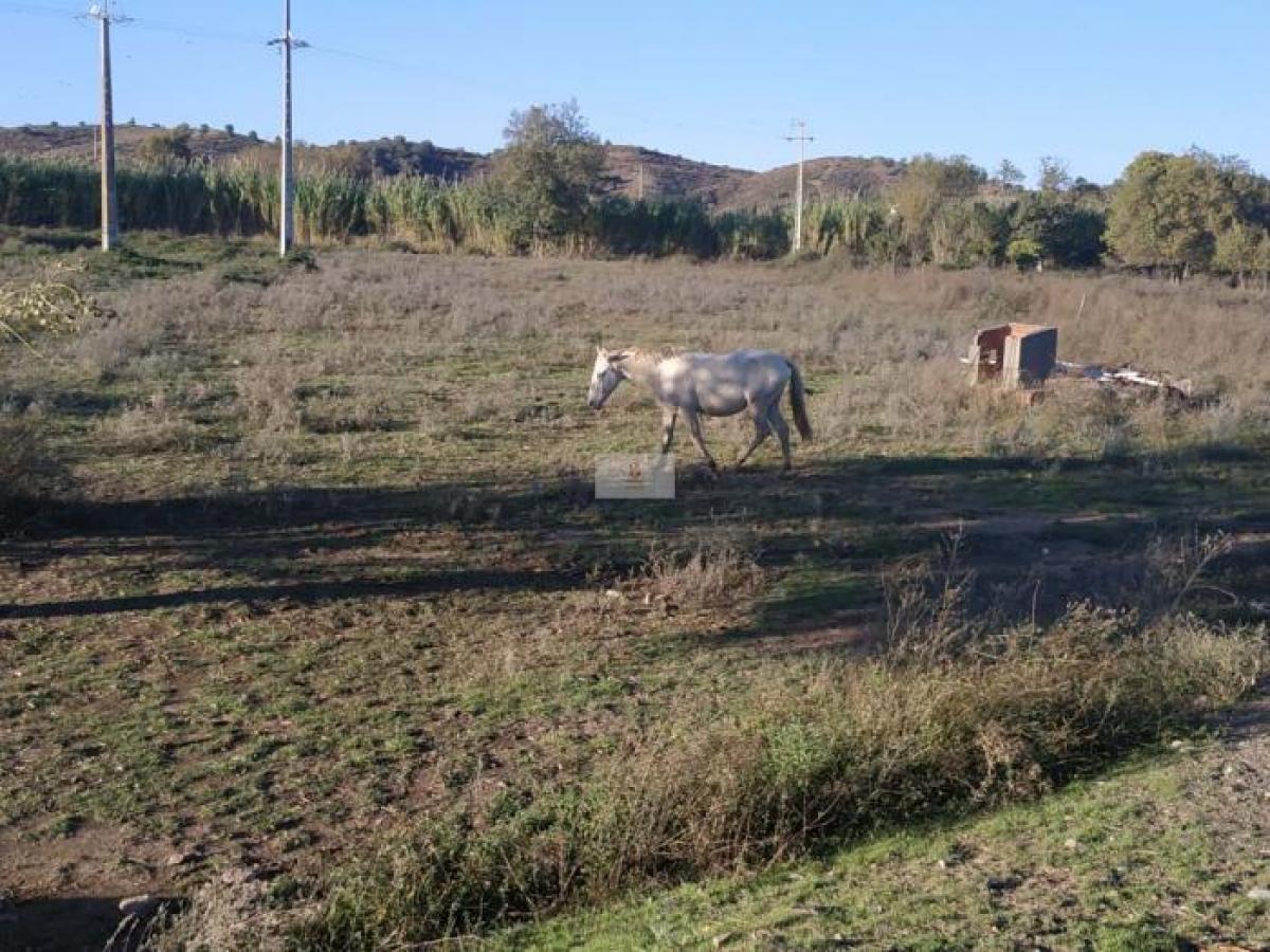 Picture of Residential Land For Sale in Castro Marim, Faro (algarve), Portugal