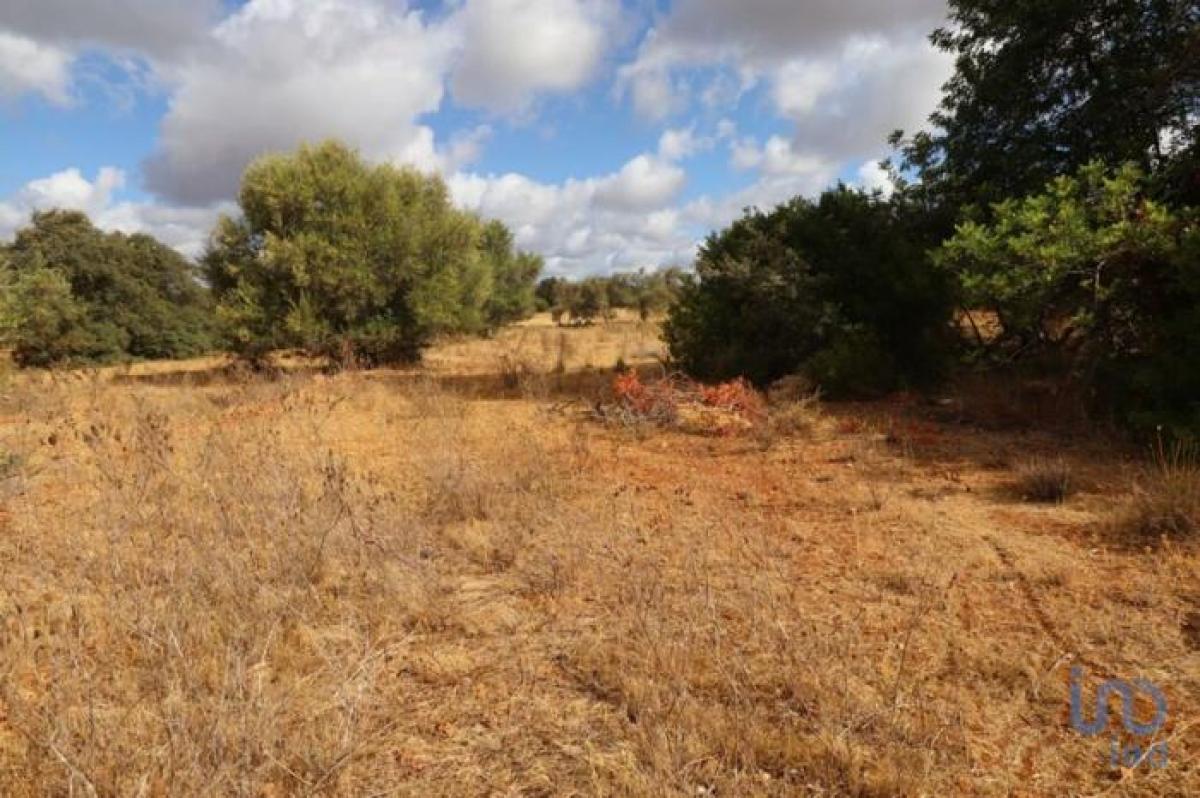 Picture of Residential Land For Rent in Albufeira, Algarve, Portugal