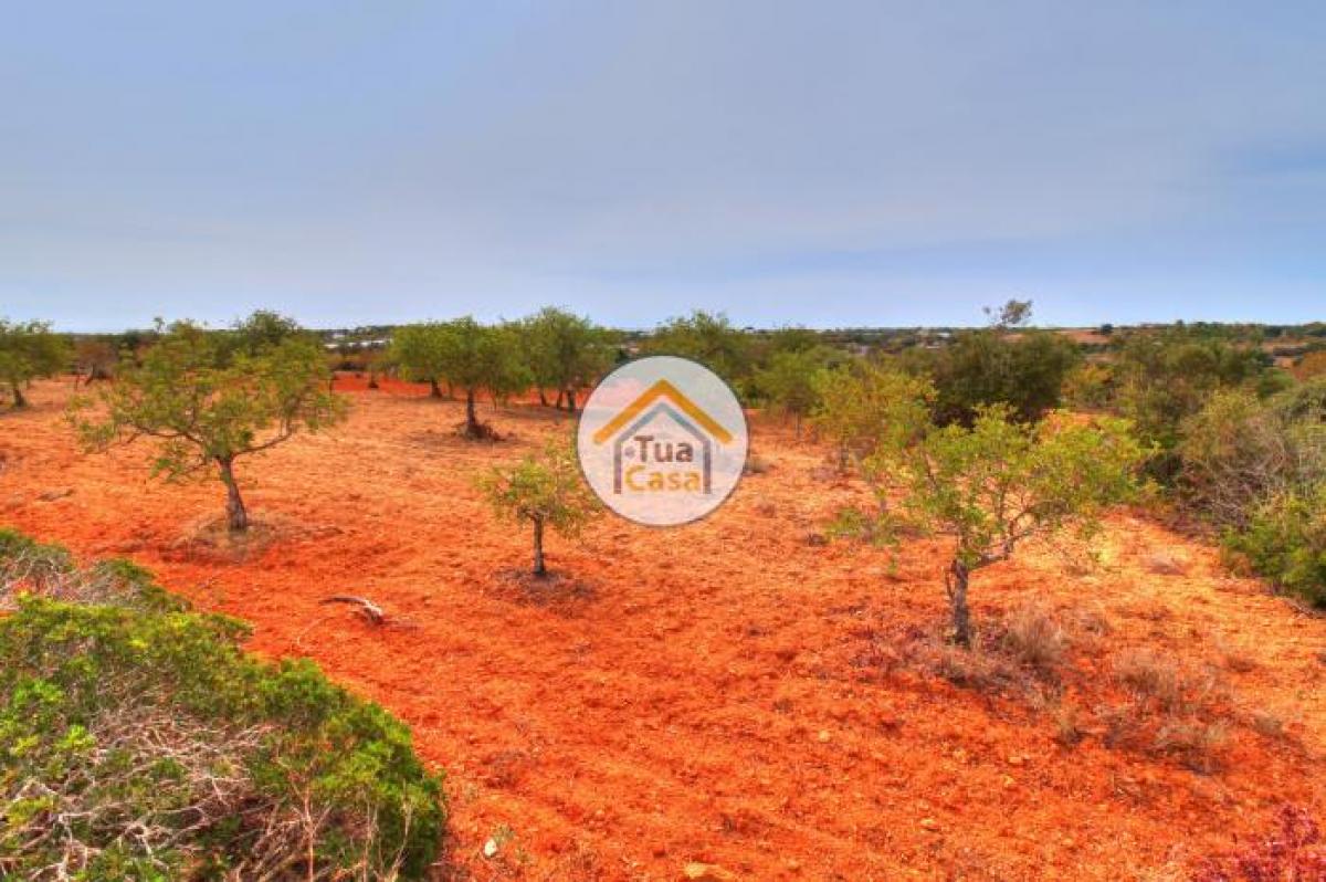 Picture of Residential Land For Sale in Olhao, Faro, Portugal