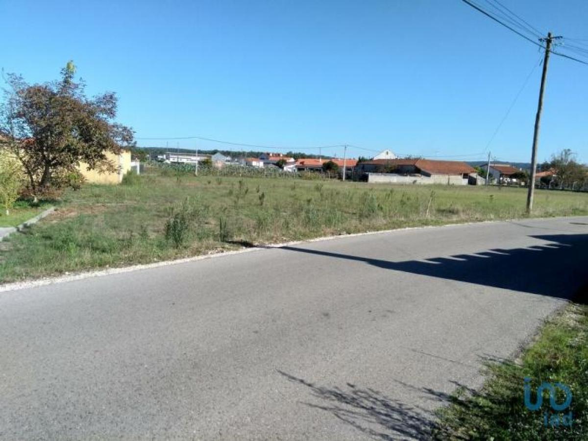 Picture of Residential Land For Sale in Leiria, Beira, Portugal