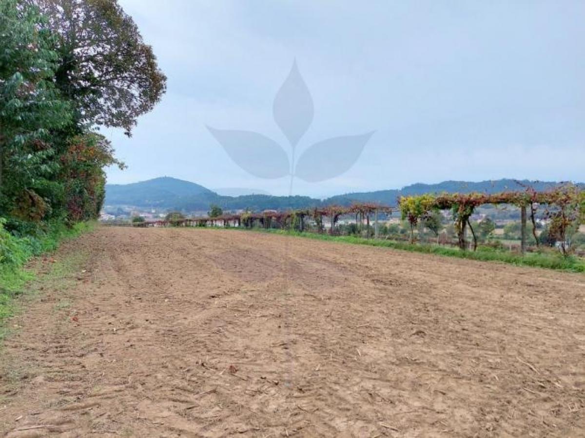 Picture of Residential Land For Sale in Braga, Entre-Douro-e-Minho, Portugal