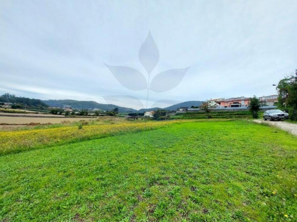 Picture of Residential Land For Sale in Braga, Entre-Douro-e-Minho, Portugal