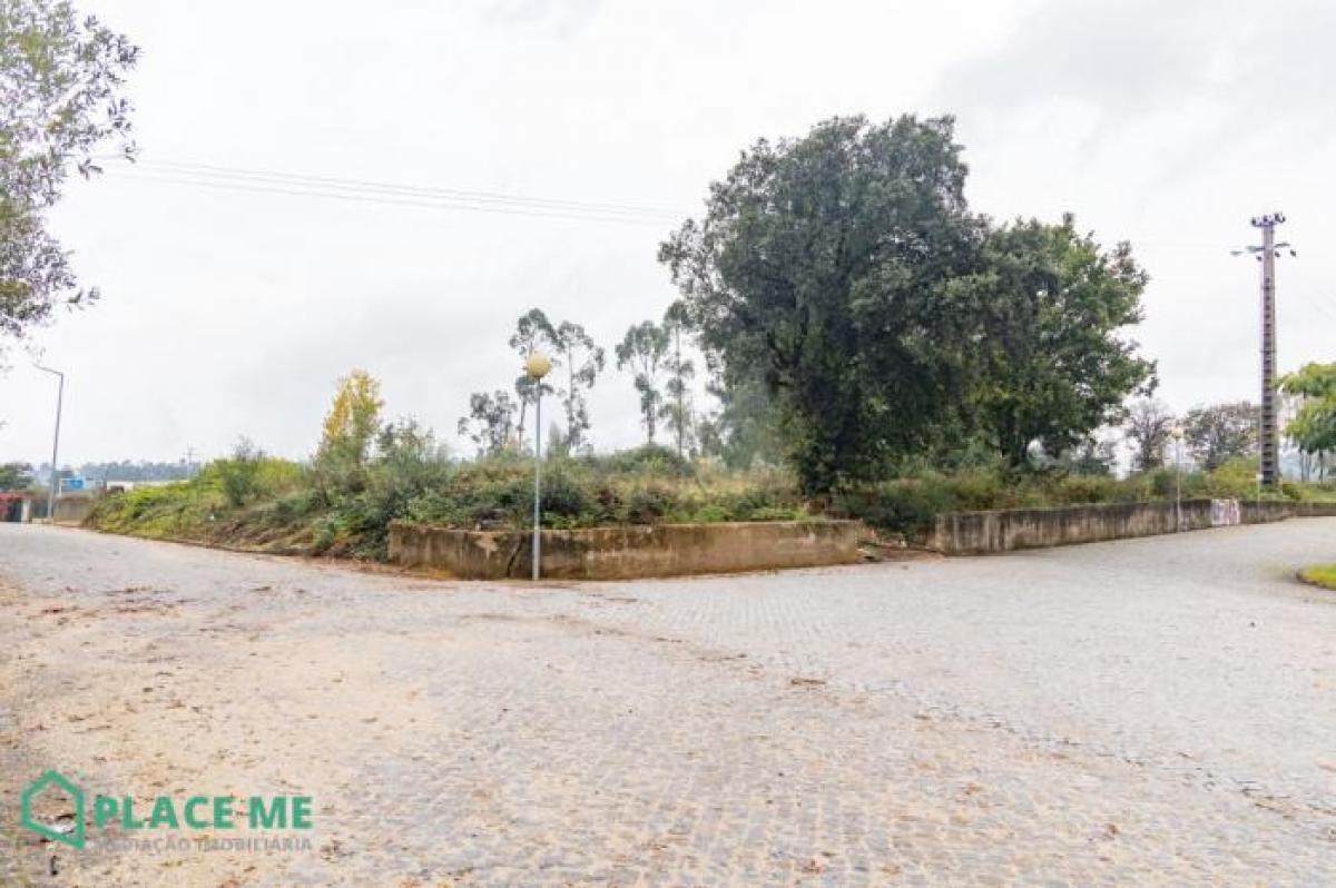 Picture of Residential Land For Sale in Braga, Entre-Douro-e-Minho, Portugal