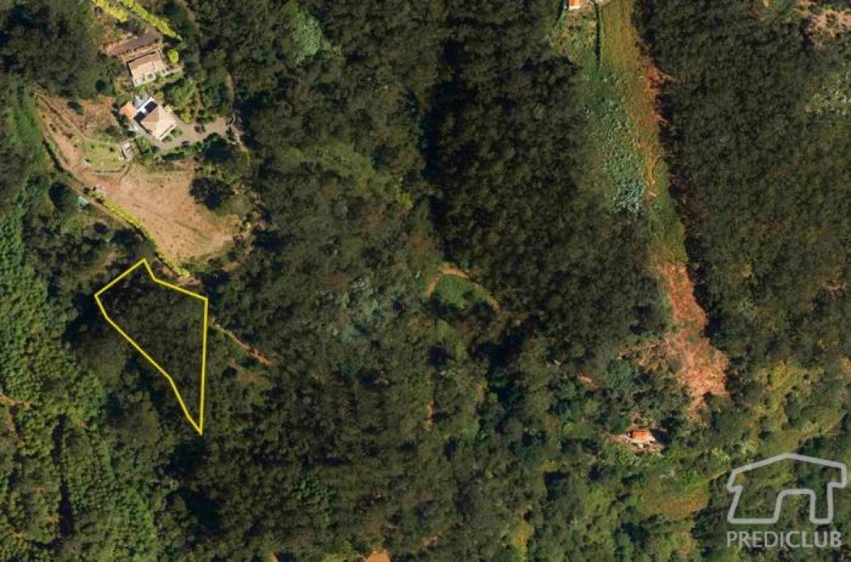 Picture of Residential Land For Sale in Santa Cruz, Madeira, Portugal