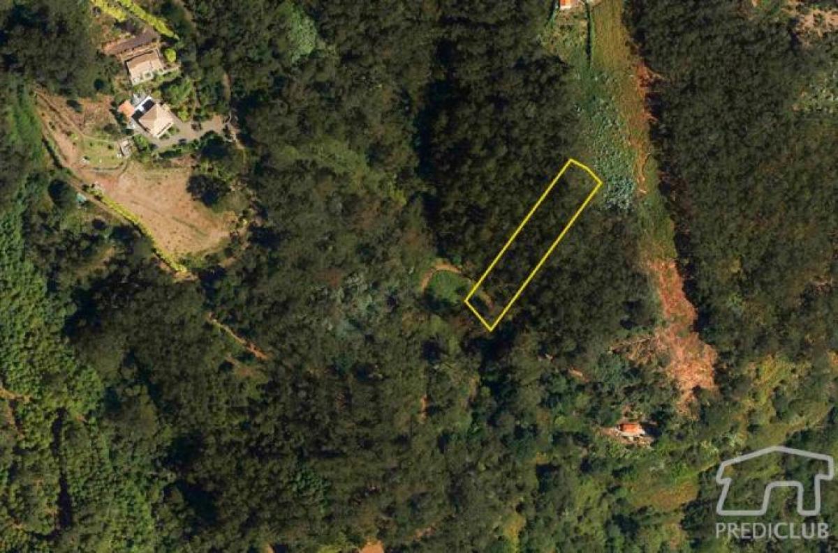 Picture of Residential Land For Sale in Santa Cruz, Madeira, Portugal