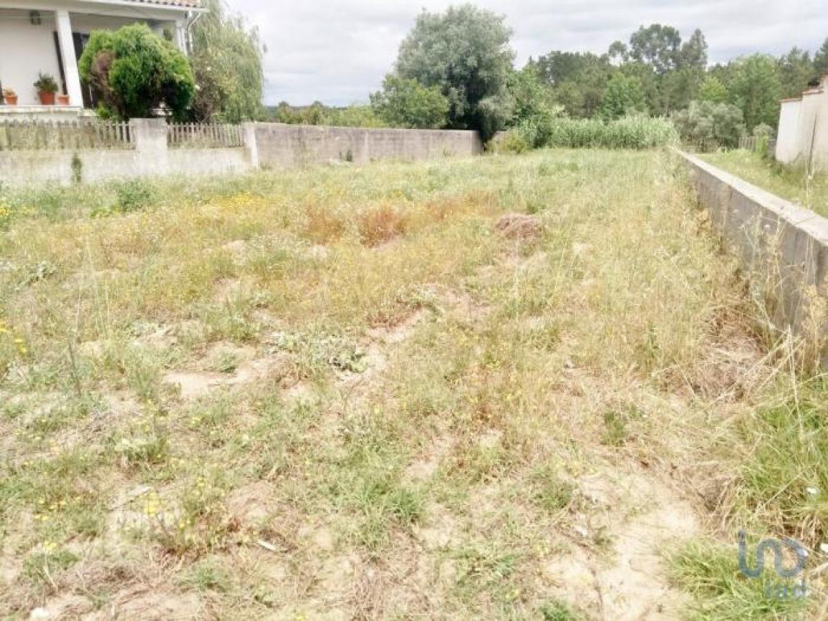 Picture of Residential Land For Sale in Leiria, Beira, Portugal