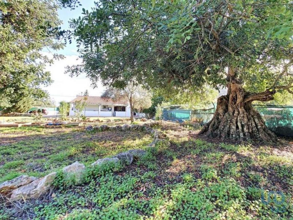 Picture of Home For Sale in Olhao, Faro, Portugal