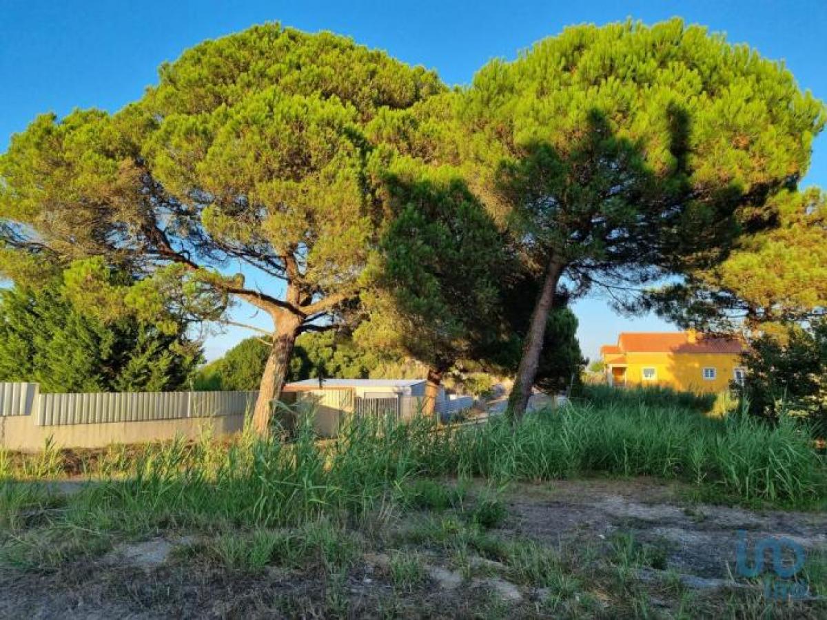 Picture of Residential Land For Sale in Caldas Da Rainha, Region Of Murcia, Portugal