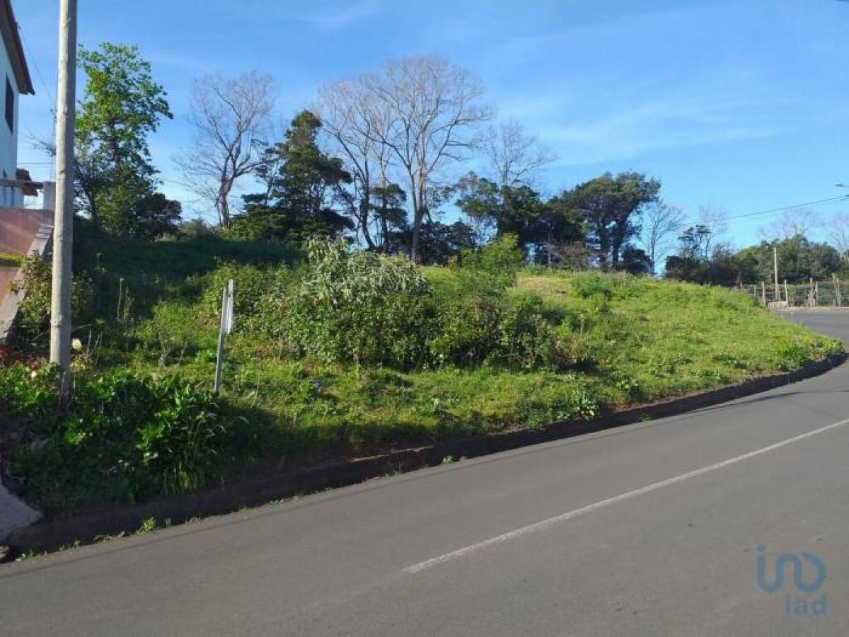 Picture of Residential Land For Sale in Santana, Madeira, Portugal