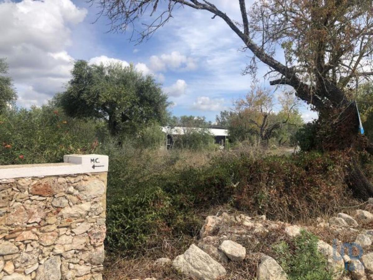 Picture of Residential Land For Sale in Loul, Algarve, Portugal