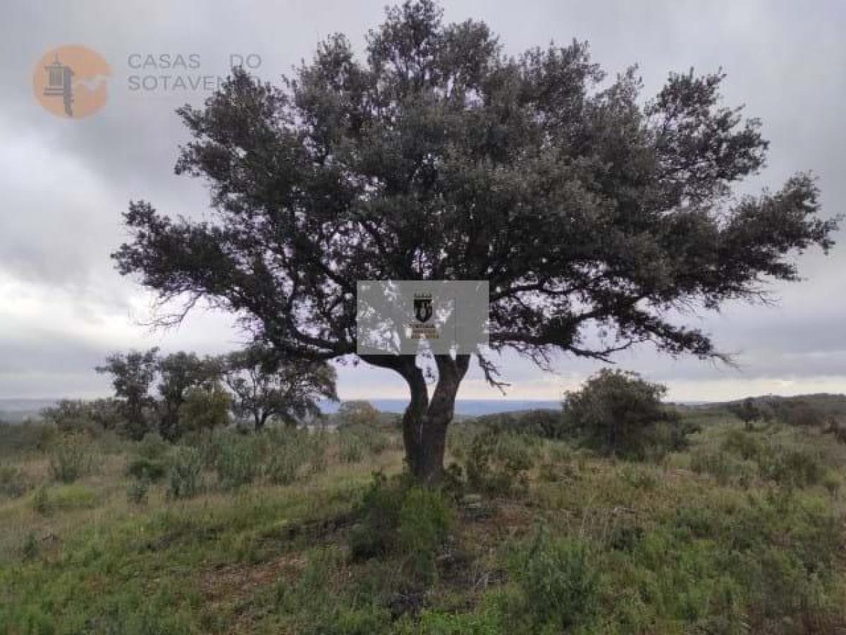 Picture of Residential Land For Sale in Castro Marim, Faro, Portugal