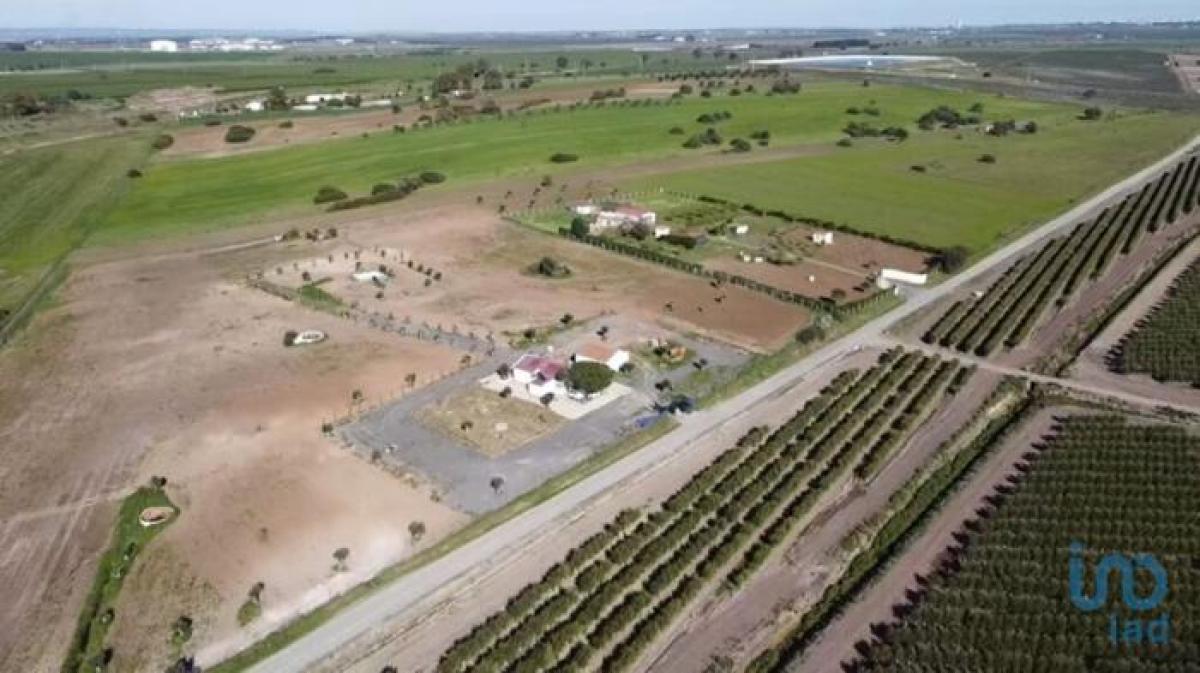 Picture of Home For Sale in Beja, Alentejo, Portugal