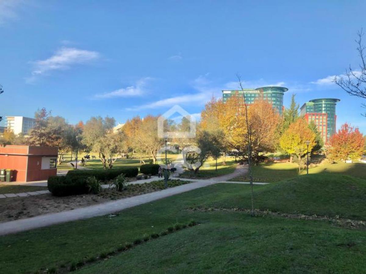 Picture of Apartment For Rent in Lisboa, Lisboa, Portugal