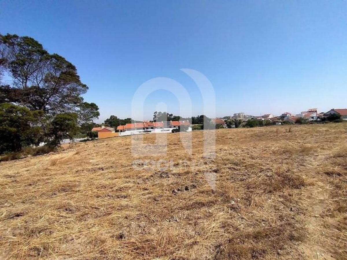 Picture of Residential Land For Sale in Seixal, Madeira, Portugal